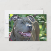 Pitbulle Einladung (Rückseite)