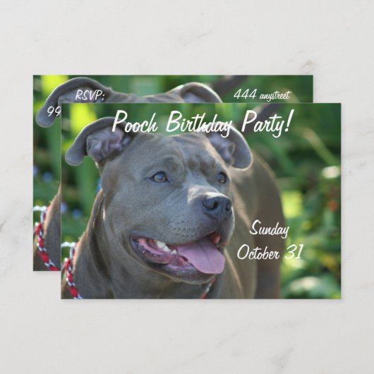 Pitbulle Einladung (Vorne/Hinten)