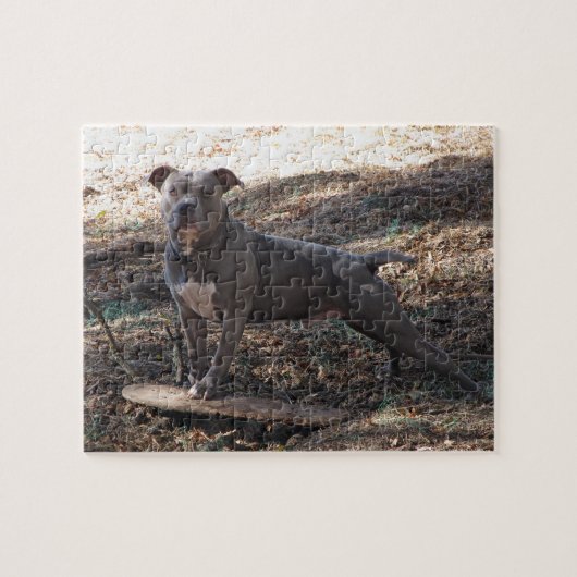 Pitbulle mit Skateboard Puzzle (Horizontal)