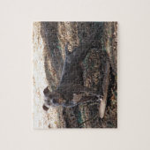 Pitbulle mit Skateboard Puzzle (Vertikal)