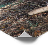 Pitbulle mit Skateboard-Skatern nur Poster (Ecke)