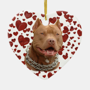 Pitbulling Keramik Ornament