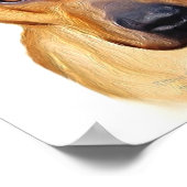 Pitbullposter Poster (Ecke)