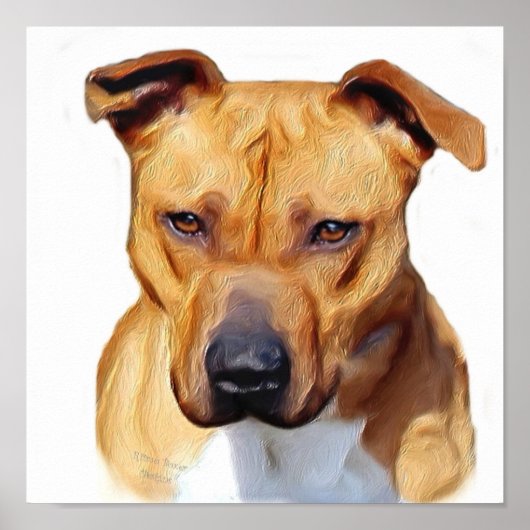 Pitbullposter Poster (Vorne)