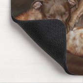 Pitbulls - das weichere SeitenMousepad Mousepad (Ecke)