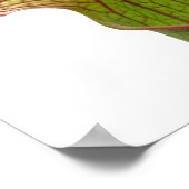 Pitcher-Pflanze Poster (Ecke)