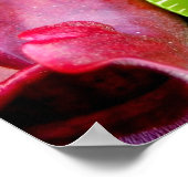 Pitcher Pflanze & Venus Fliegenfalle Poster (Ecke)