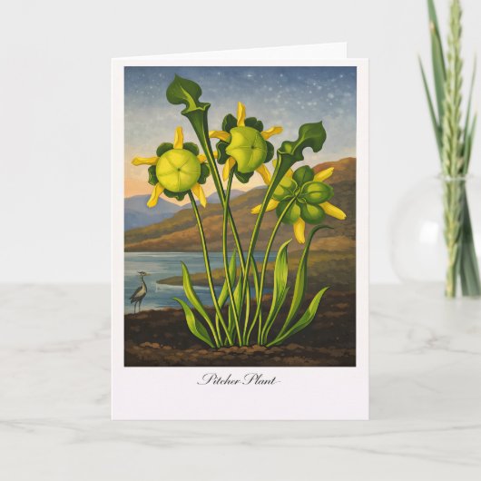 Pitcher Plant — Modern Botanical Reinterpretation Karte (Vorderseite)
