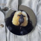 Pithecia pithecia button (Beispiel)