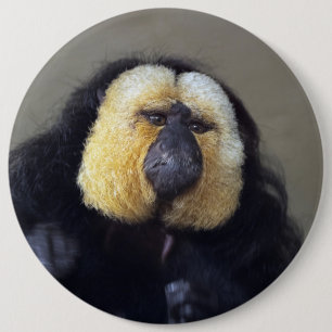 Pithecia pithecia button