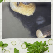 Pithecia pithecia geschirrtuch (Gefaltet)