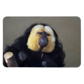 Pithecia pithecia magnet (Horizontal)