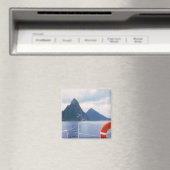 Pitons vom Sea Magnet (In Situ (Geschirrspüler))