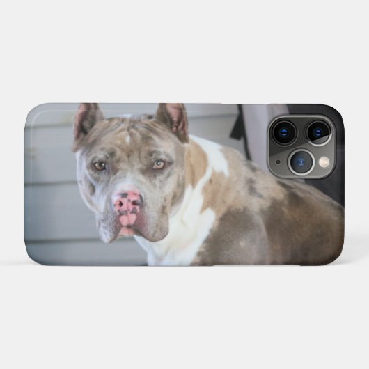 Pitt bull Case-Mate iPhone hülle (Rückseite (Horizontal))