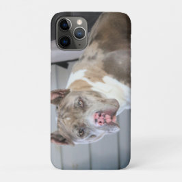 Pitt bull Case-Mate iPhone hülle