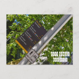 Pitt Street Postkarte