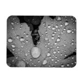 Pitter Patter — 3" x 4" Flexibles Foto Magnet (Horizontal)