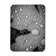 Pitter Patter — 3" x 4" Flexibles Foto Magnet