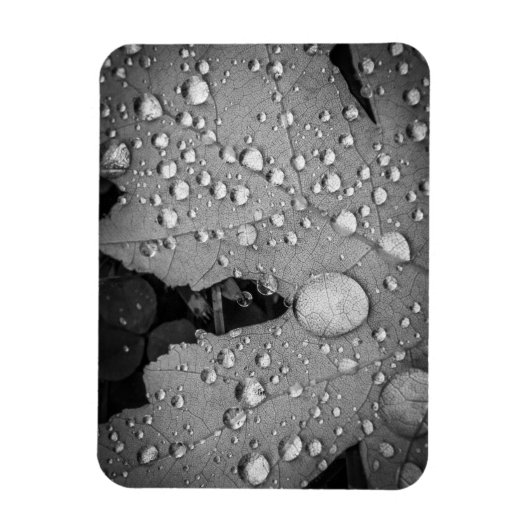 Pitter Patter — 3" x 4" Flexibles Foto Magnet (Vertikal)