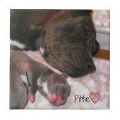 Pittie Liebe Fliese (Vorderseite)