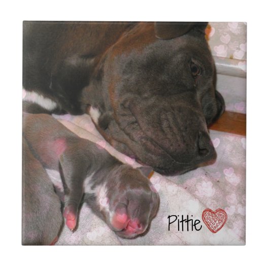 Pittie Liebe Fliese (Vorderseite)