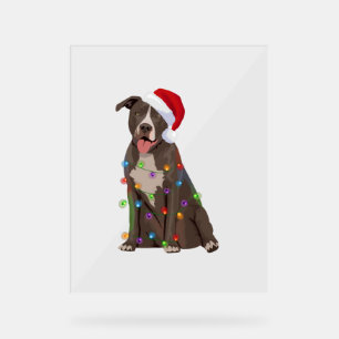Pittie Pitbuli Weihnachtslicht Weihnachten Weihnac Acrylschild
