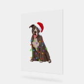 Pittie Pitbuli Weihnachtslicht Weihnachten Weihnac Acrylschild (Winkel)