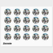 Pittie Pitbull Urban Dog Stickers (Blatt)