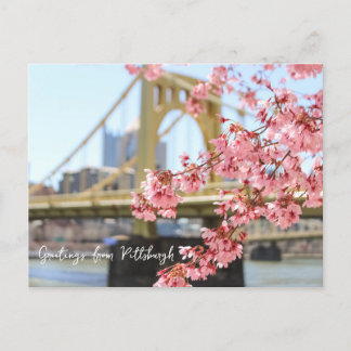 Pittsburgh Bridge und Kirschblüten Postkarte