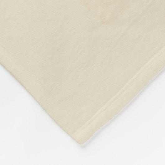 Pittsburgh, PA | Vogelperspektive Fleecedecke (Ecke)