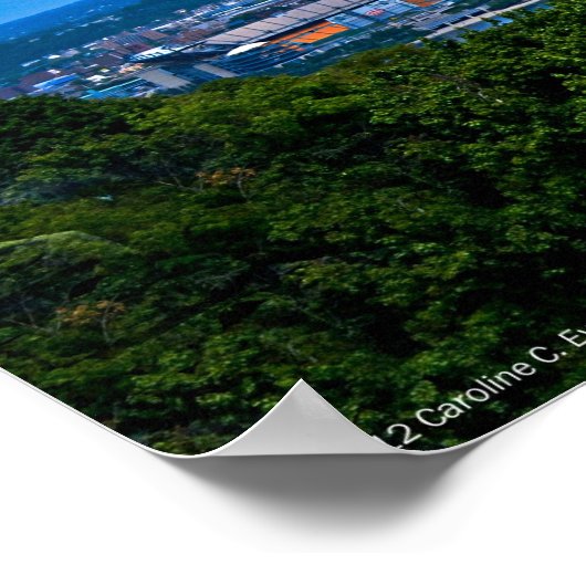 Pittsburgh Panorama Poster (Ecke)