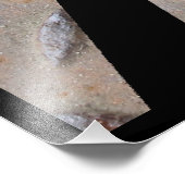 Pittsburgh Steel City Bridge Skyline Pennsylvania Fotodruck (Ecke)