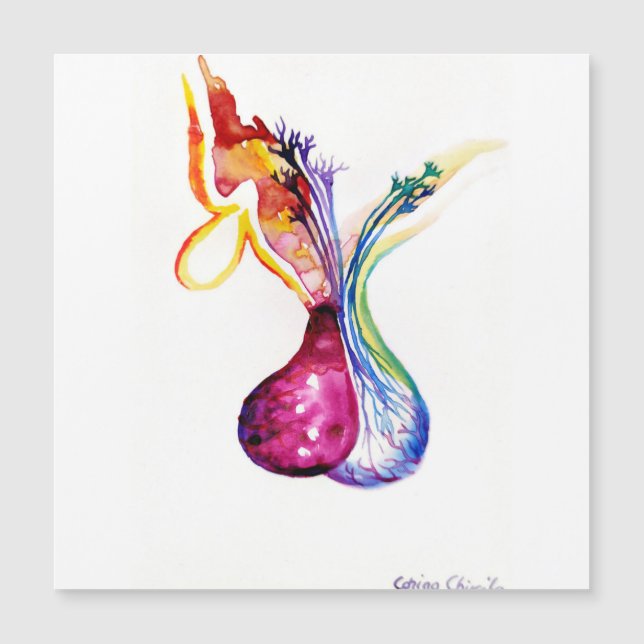 Pituitus Magnetkarte (Vorderseite)