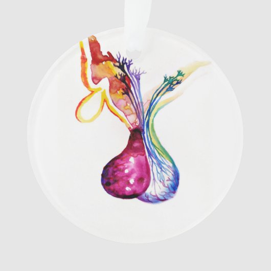 Pituitus Ornament (Vorderseite)