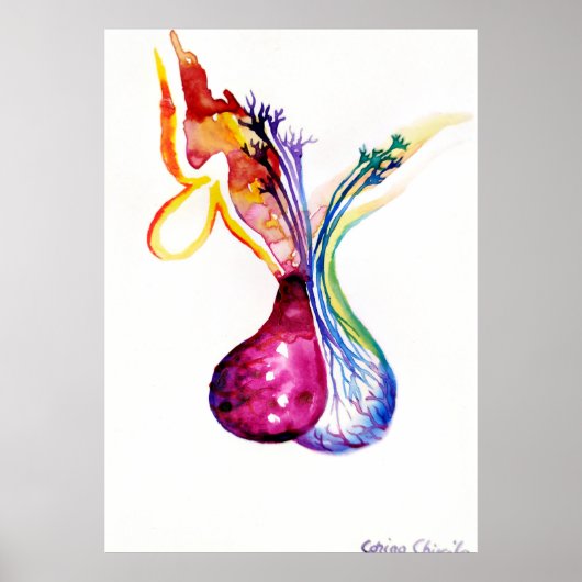 Pituitus Poster (Vorne)