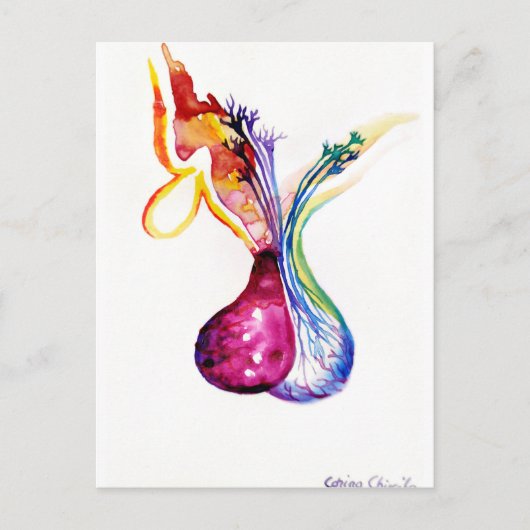 Pituitus Postkarte (Vorderseite)