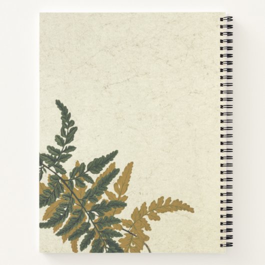 Pityrogramma chrysophylla Fern Notizblock (Rückseite)