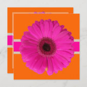 Pix Dezines Gerbera, pink/diy Hintergrund/Event! Einladung (Vorne/Hinten)
