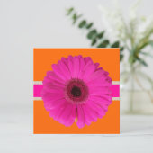 Pix Dezines Gerbera, pink/diy Hintergrund/Event! Einladung (Stehend Vorderseite)