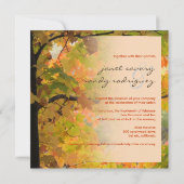 Pix Dezines im Wald 2, tägliche Sturzereignisse Einladung (Rückseite)