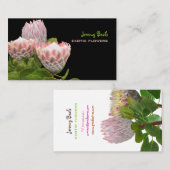 Pix Dezines maui Protea für Indien Visitenkarte (Vorne/Hinten)