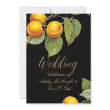 Pix Dezines Orchard/Pfirsiche/Redoute