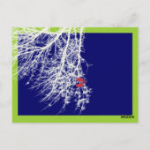 Pix Dezines Snowbirds Tischkarten Postkarte (Rückseite)