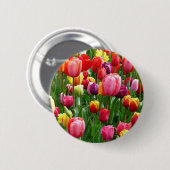 pixabay.comentulips-tulip-bed-colorful-52126 button (Vorne & Hinten)