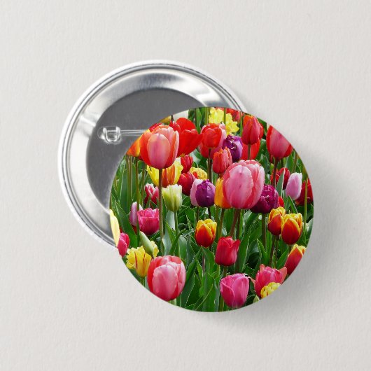 pixabay.comentulips-tulip-bed-colorful-52126 button (Vorne & Hinten)