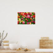 pixabay.comentulips-tulip-bed-colorful-52126 poster (Küche)