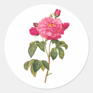 PixDezine viktorianische Rosen/redoute Runder Aufkleber