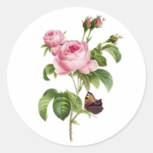 PixDezine viktorianische Rosen/redoute Runder Aufkleber