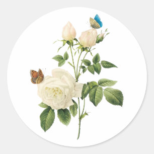 PixDezine viktorianische Rosen/redoute Runder Aufkleber