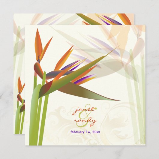 PixDezines-BIRD VON PARADISE/DIY-Hintergrundfarbe Einladung (Vorne/Hinten)